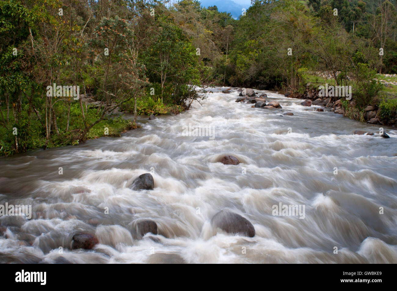 Landscape of the River 'Río Arriba' in the Valley of Cocora, Colombia. Colombian coffee growing axis. The Colombian coffee Region, also known as the Coffee Triangle, is a part of the Colombian Paisa region in the rural area of Colombia, famous for growing and production of a majority of the Colombian coffee, considered by some as the best coffee in the world. Stock Photo