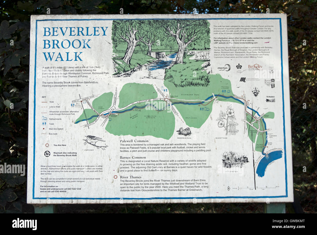 map and information board on the embankment of the river thames at putney, london, england, describing the beverley brook walk Stock Photo