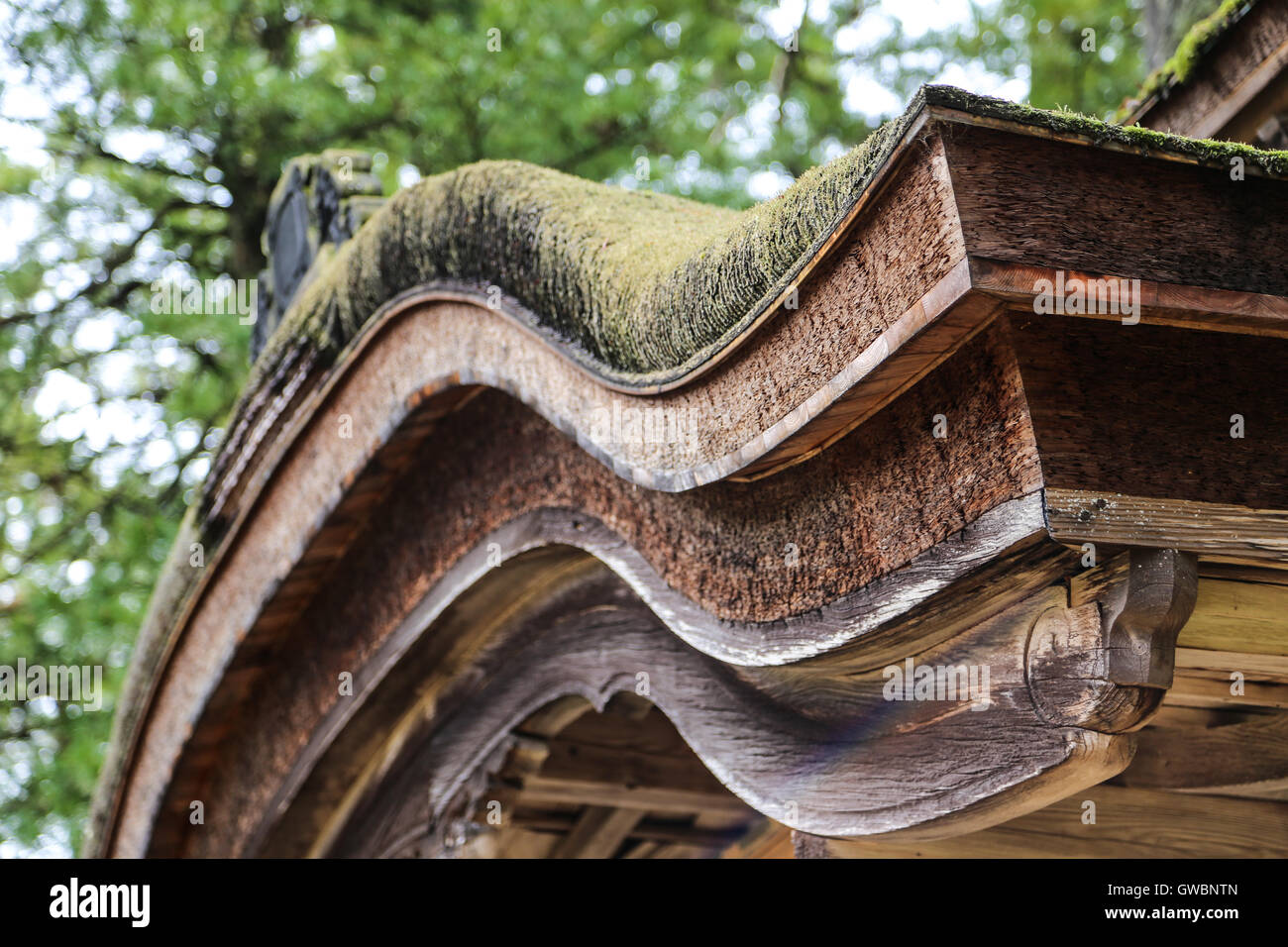 Traditional Japanese Roof Curve with Green Foliage Stock Photo Alamy