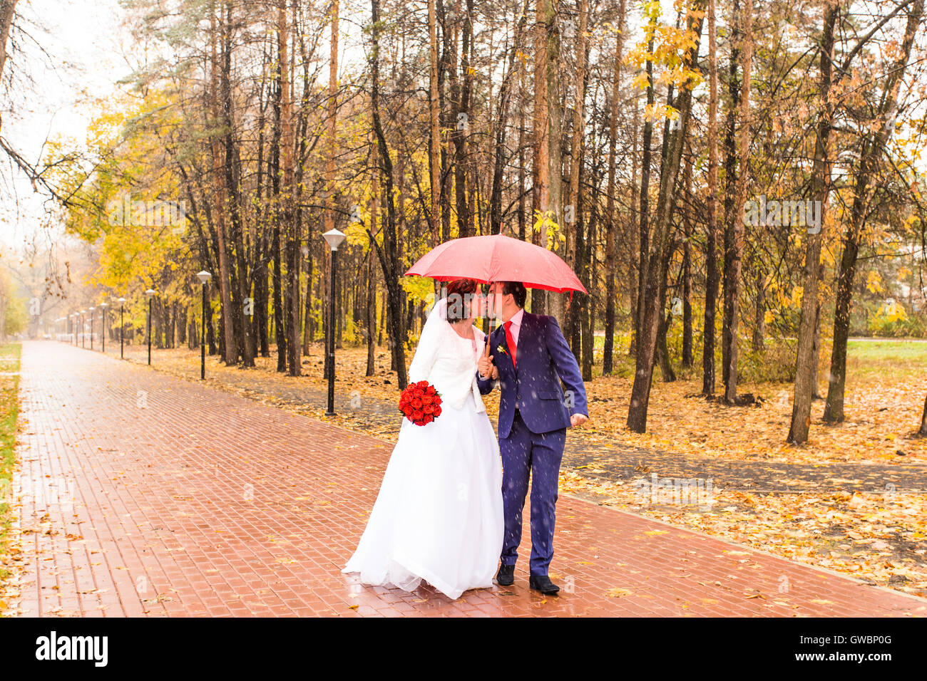 Just married couple under umbrella walking on road at park Stock Photo ...