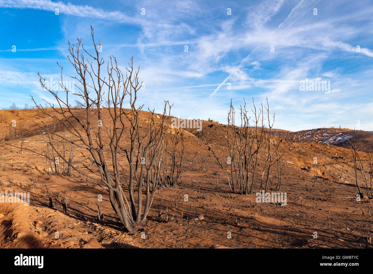 Rim fire hires stock photography and images Alamy