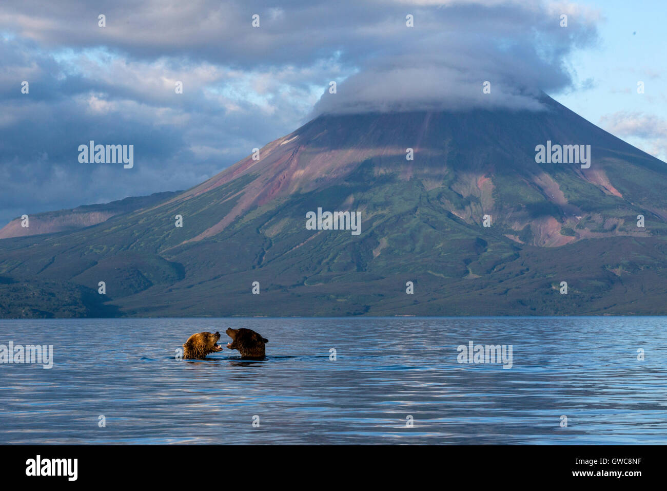 View of Kurile lake against the backdrop of the Ilyinsky volcano in Kamchatka region of Russia Stock Photo