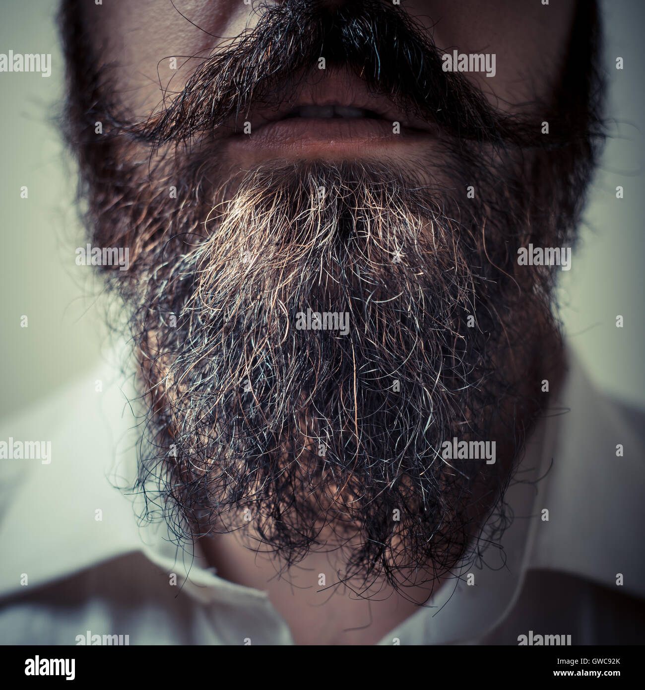 Vintage man and long beard hi-res stock photography and images - Alamy