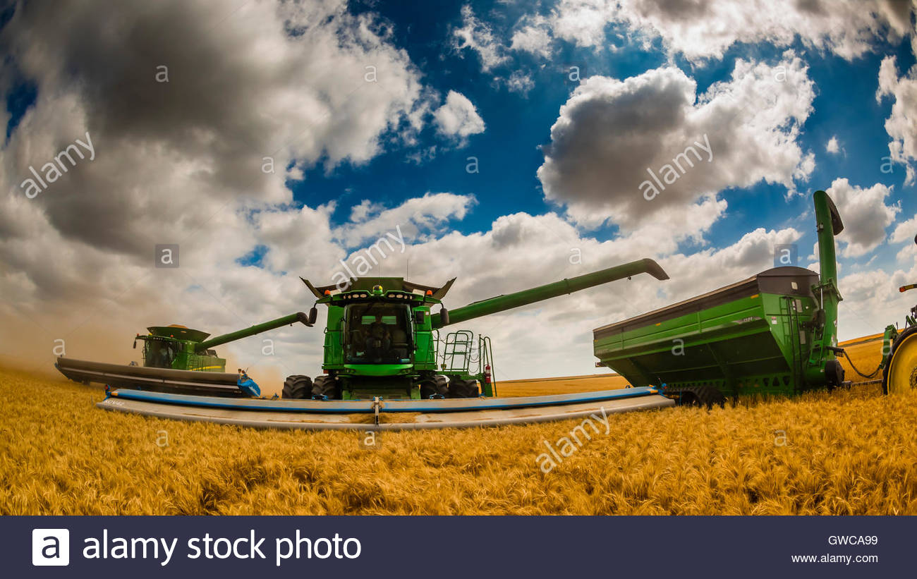 Harvest Wagon Stock Photos & Harvest Wagon Stock Images Alamy
