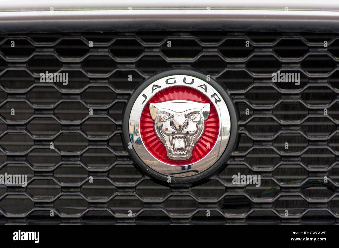 jaguar Car Grille badge Stock Photo