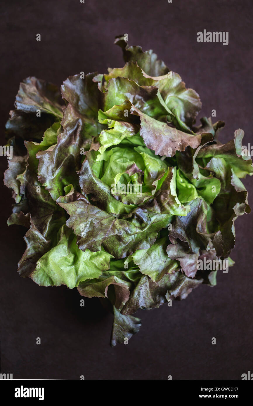 A big bunch of dark leafy salad greens is photographed from the top view. Stock Photo