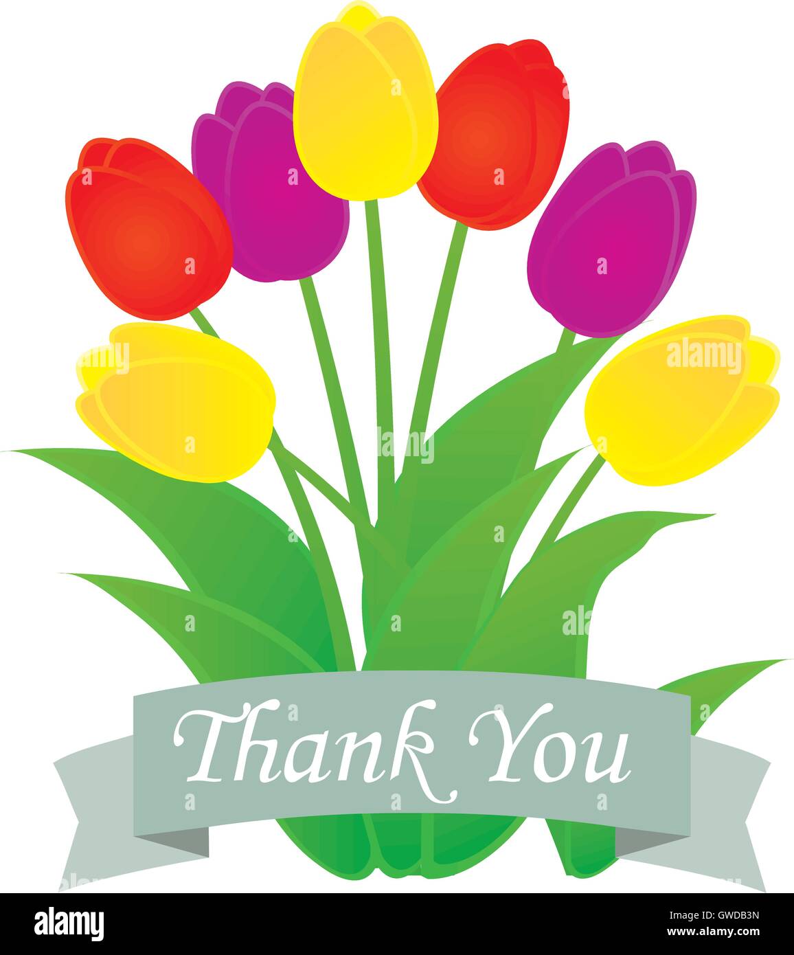 vector illustration of a thank you card with tulips Stock Vector Image