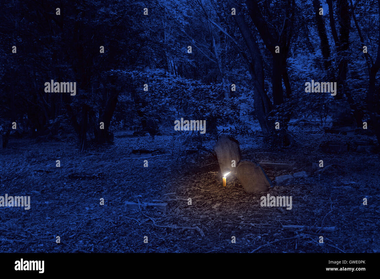 single burning candle on the old cemetery at the night Stock Photo Alamy