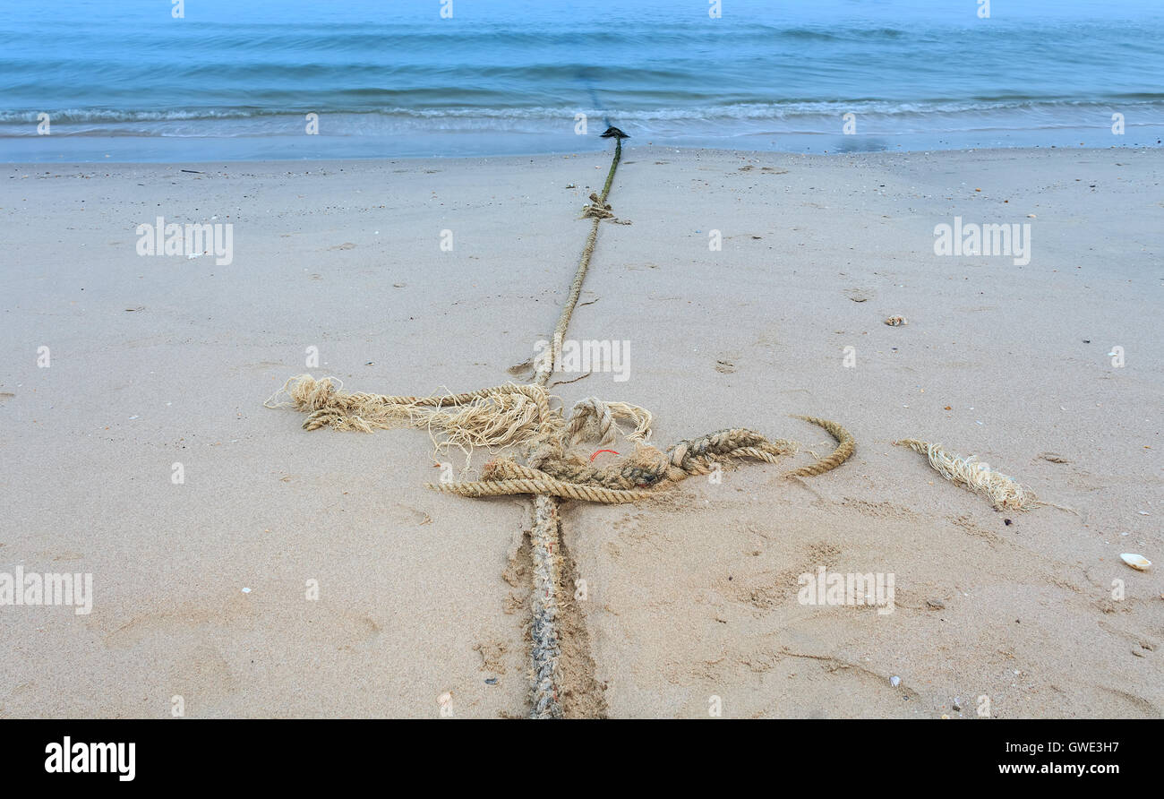 Water sea blue shiny reflective nature sun waves ocean animals life sand . Mooring rope at the beach Selected focus Stock Photo