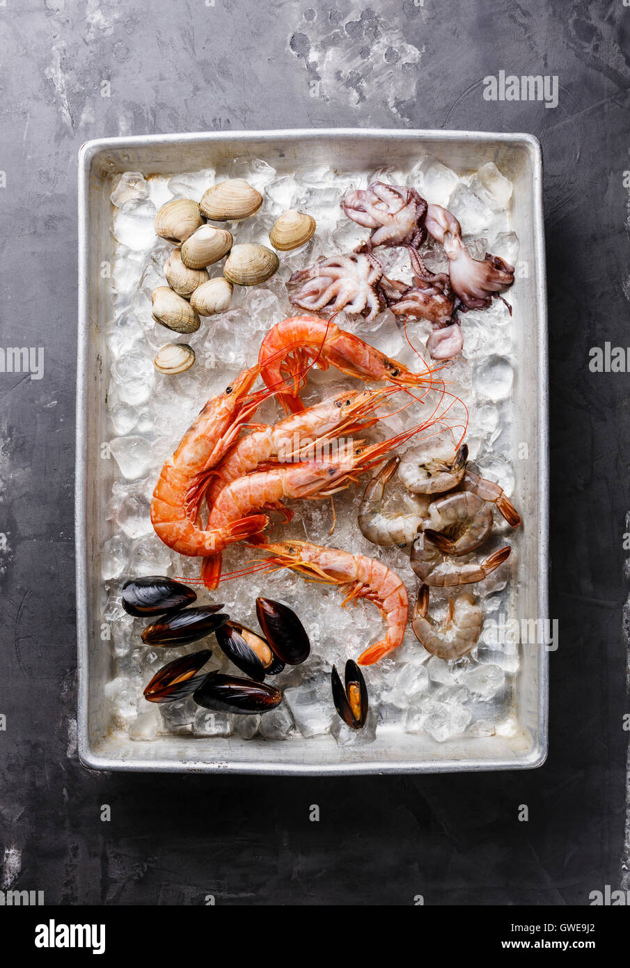 Raw fresh Seafood Cocktail with Mussels, Clams, Vongole, Prawns and Shrimps in metal tray on ice Stock Photo
