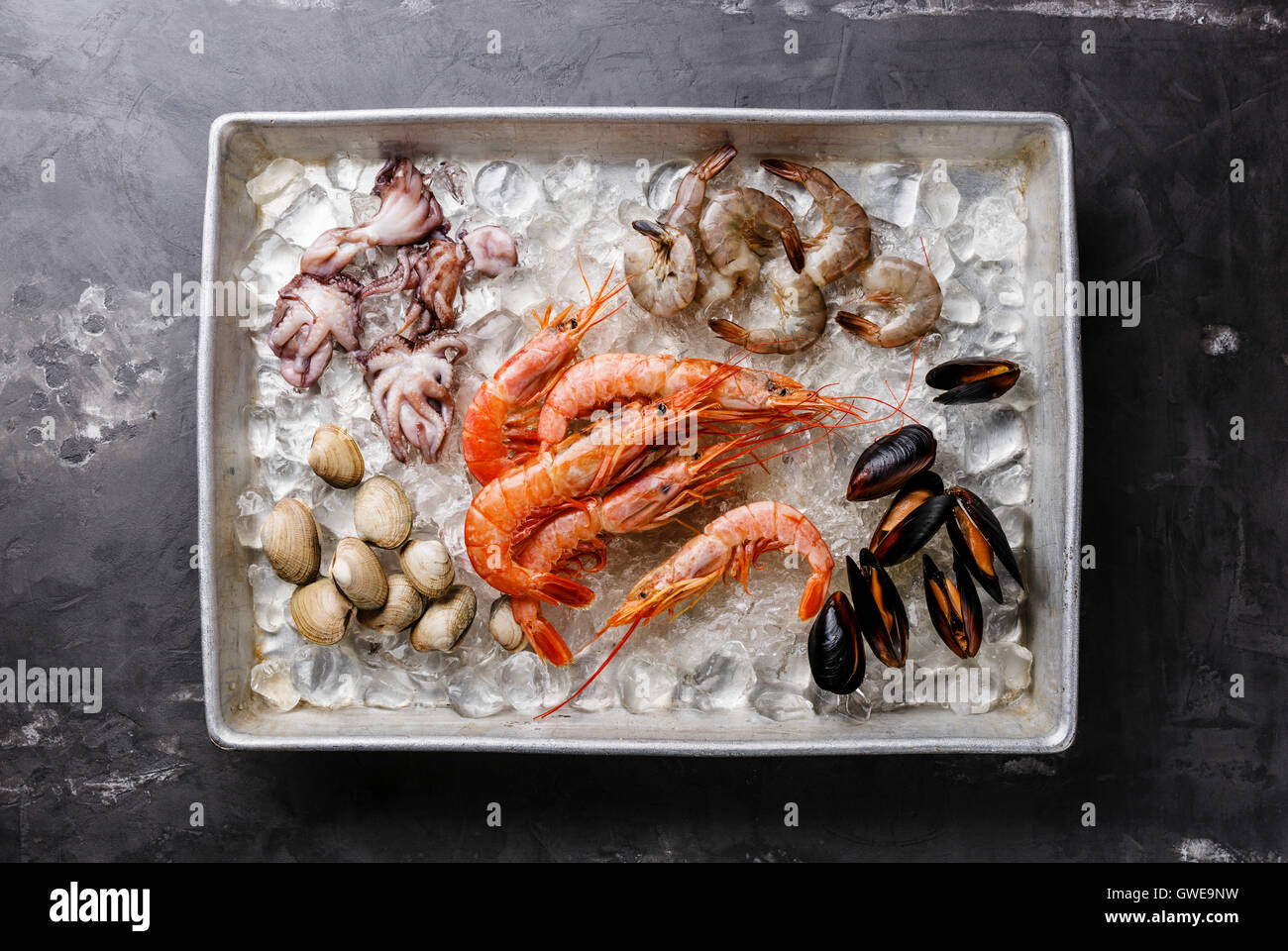 Raw fresh Seafood Cocktail with Mussels, Clams, Vongole, Prawns and Shrimps in metal tray on ice Stock Photo