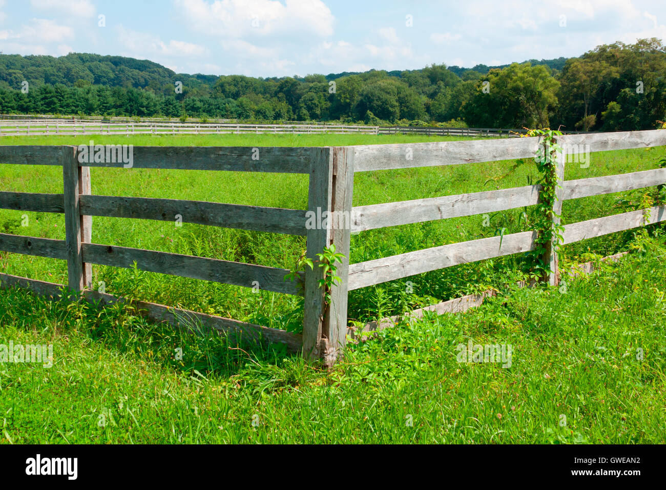 View of the ancient wooden fence on the farm Stock Photo - Alamy