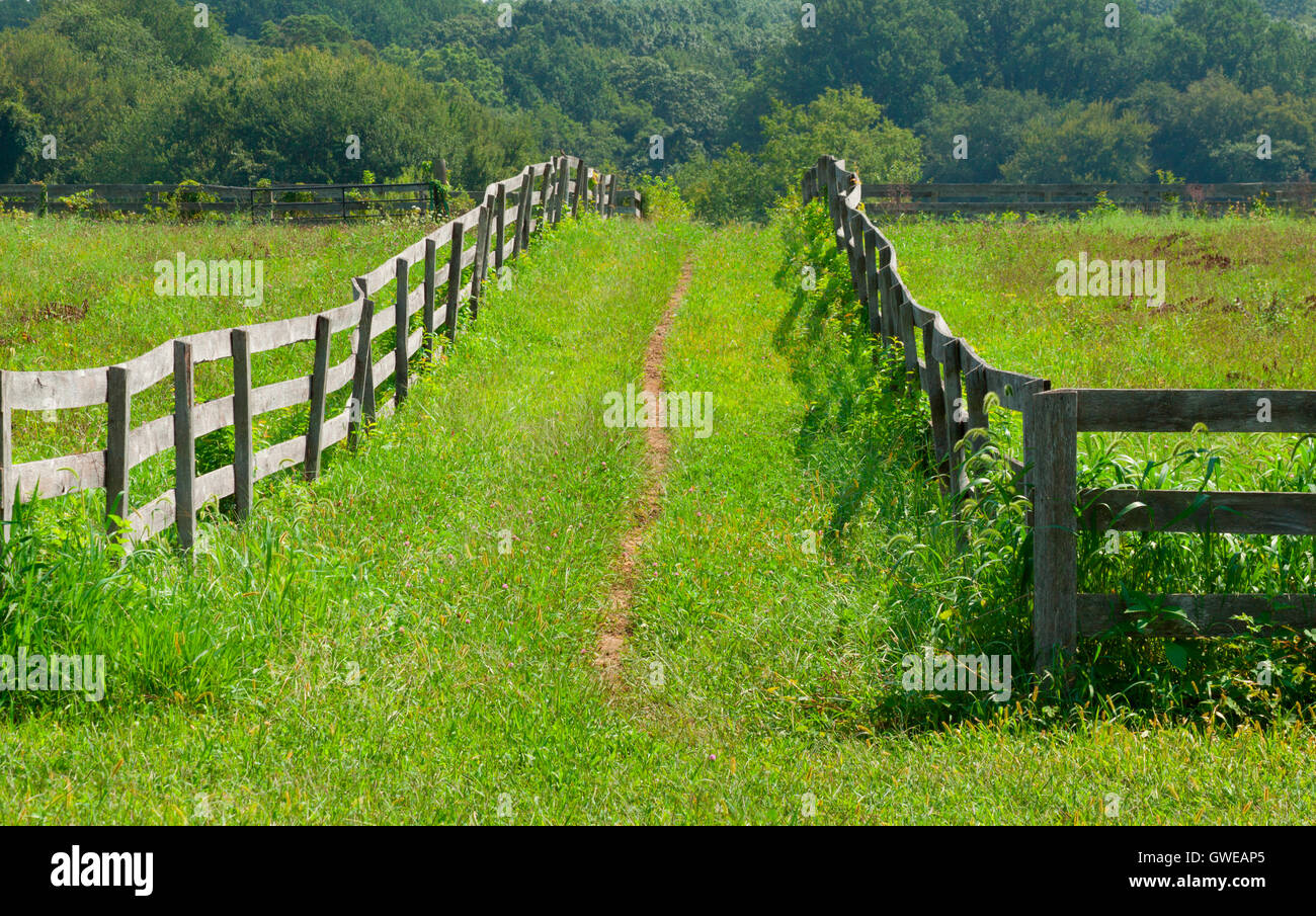 View of the ancient wooden fence on the farm Stock Photo - Alamy