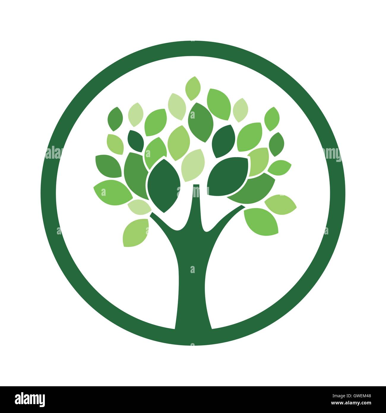 Green tree plant design Stock Vector Image & Art - Alamy