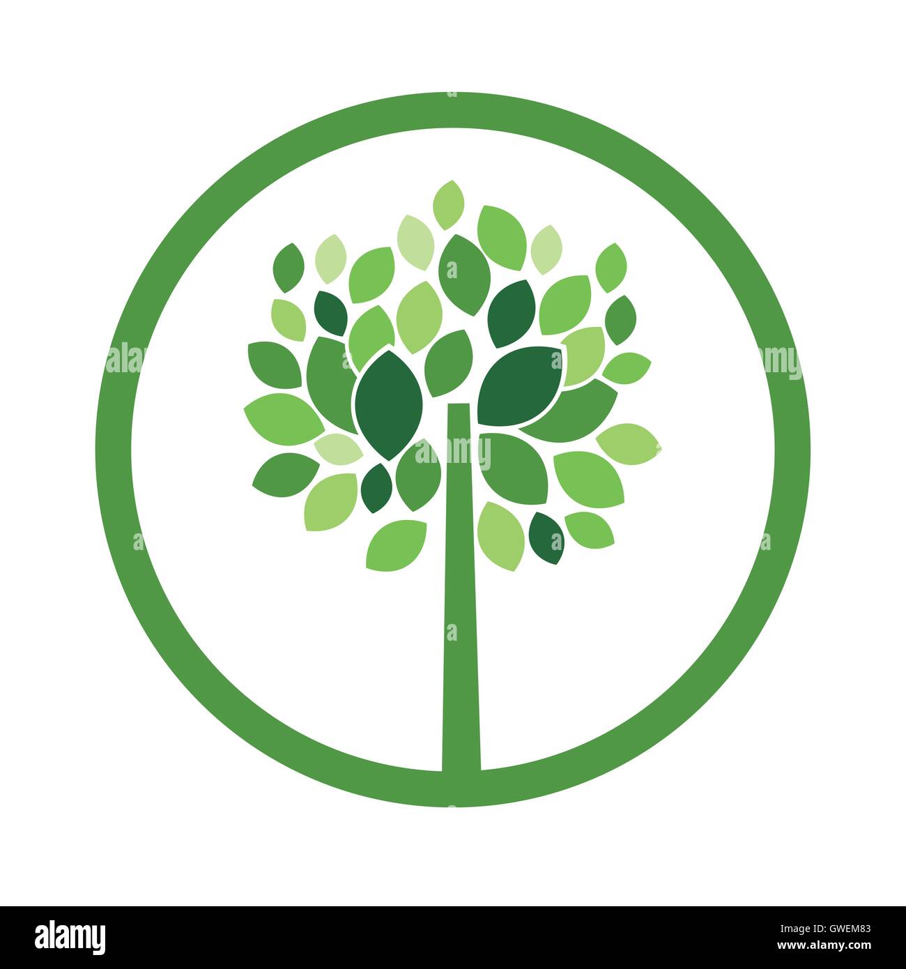Green tree plant design Stock Vector Image & Art - Alamy
