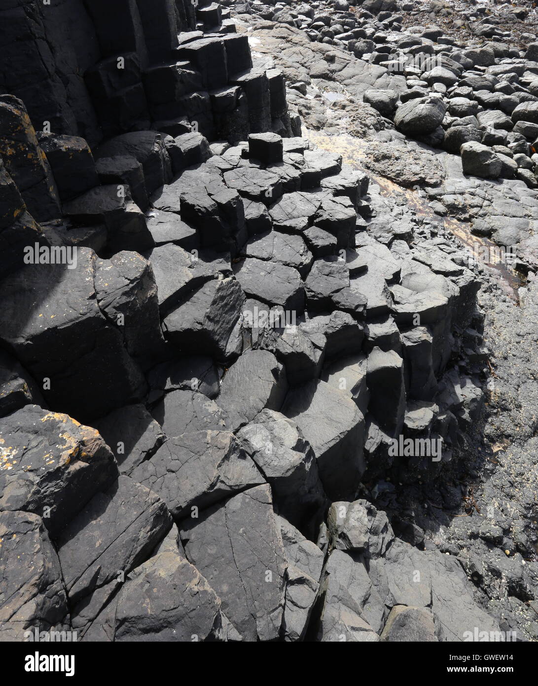 Scottish landscape detail hi-res stock photography and images - Alamy