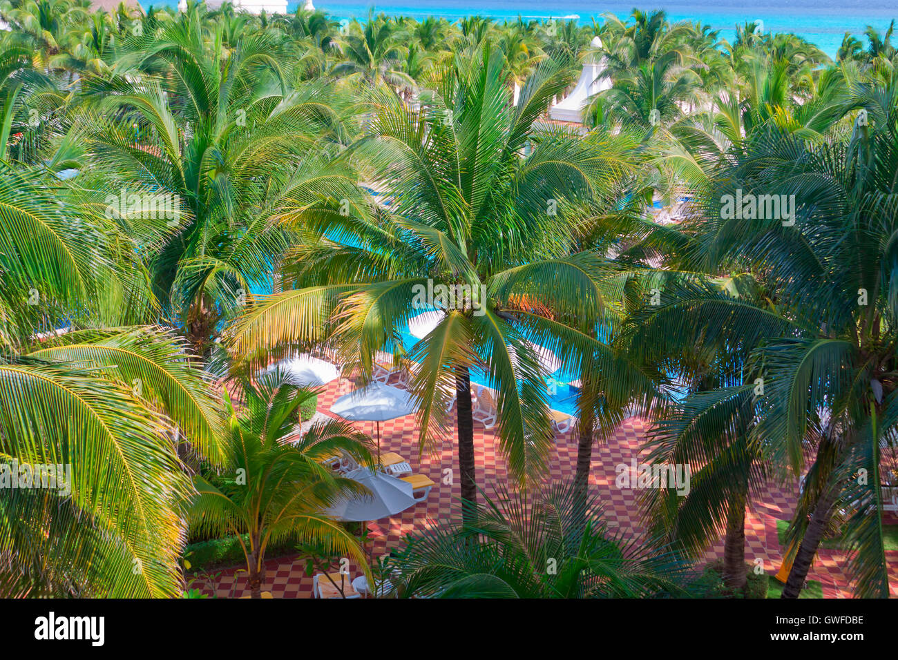 Pool deck at the luxurious tropical beach resort Stock Photo - Alamy