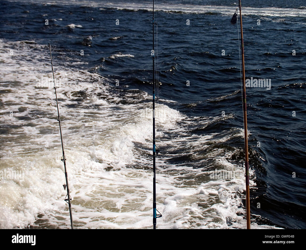 Fishing Rods Stock Photo