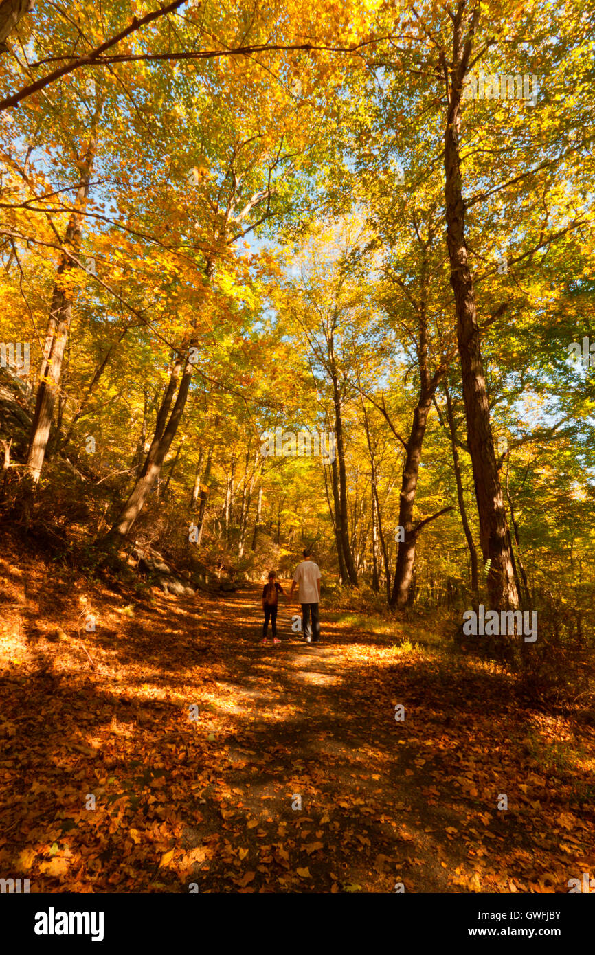 Brother and sister walking in the beautiful Fall scenery in Upstate New  York Stock Photo - Alamy