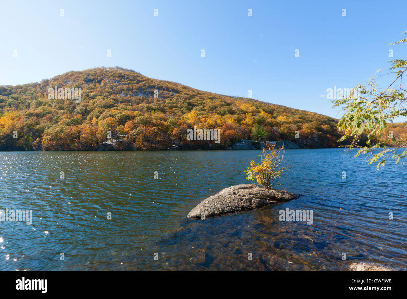 Beautiful fall colors by the forest lake Stock Photo - Alamy