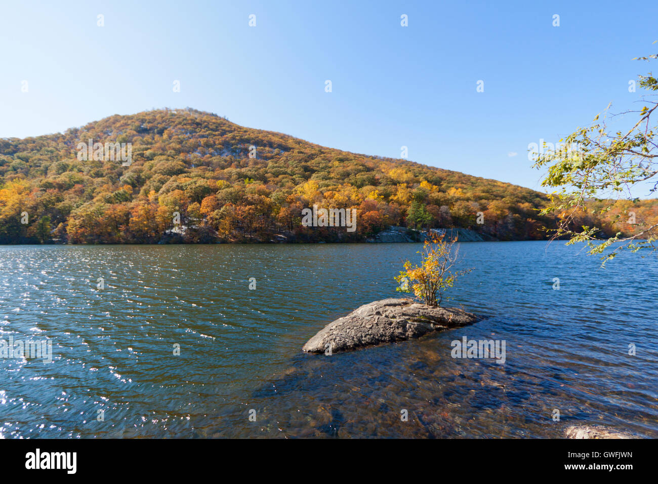 Beautiful fall colors by the forest lake Stock Photo - Alamy