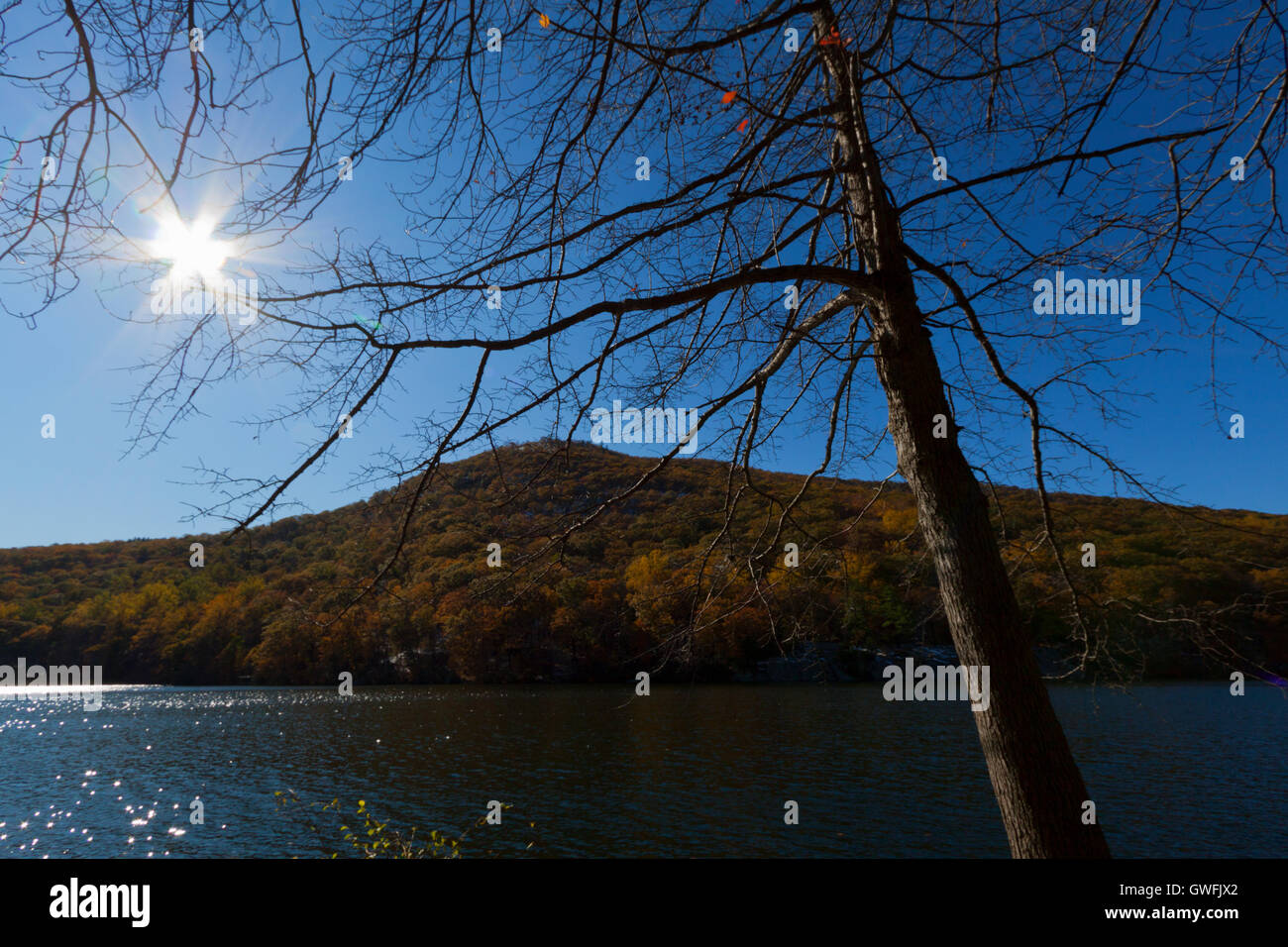 Beautiful fall colors by the forest lake Stock Photo - Alamy