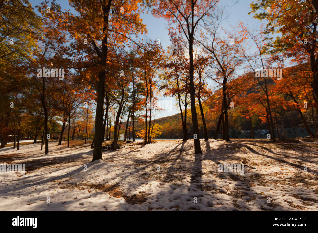 Beautiful Fall scenery in New York, USA Stock Photo - Alamy