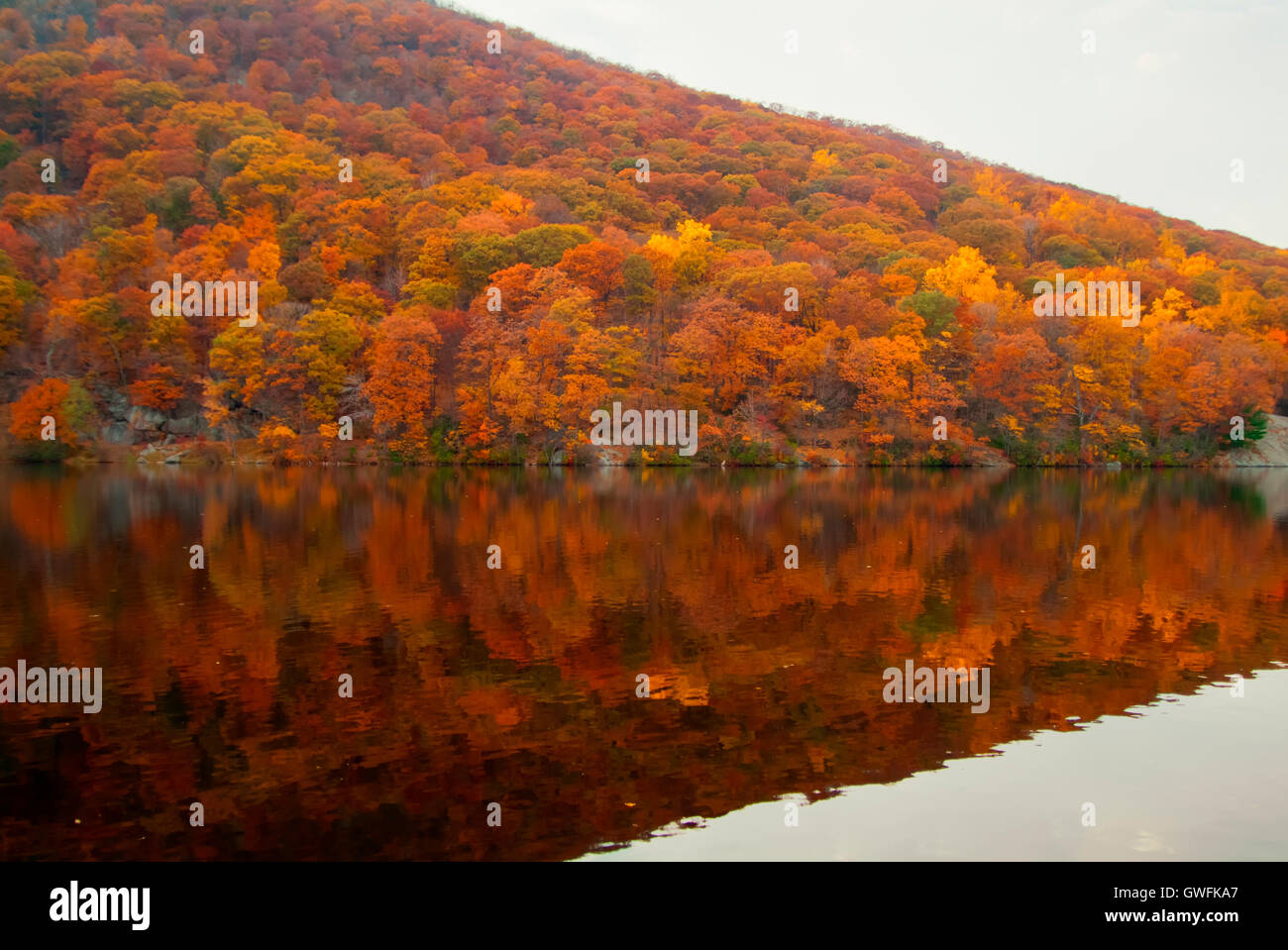 Reflecting vibrant colors hi-res stock photography and images - Alamy