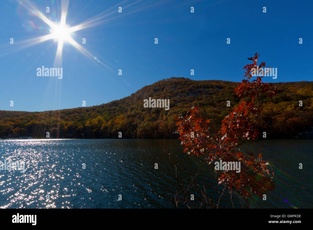 Beautiful fall colors by the forest lake Stock Photo - Alamy
