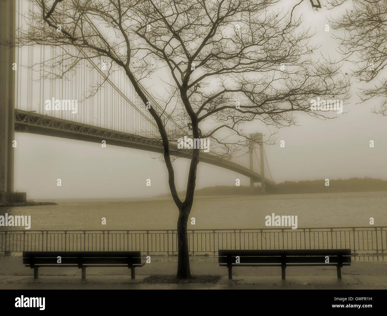 Rainy brooklyn hi-res stock photography and images - Alamy