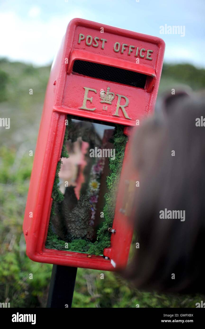 Portland, Dorset, UK. 13th September, 2016. Art installation on a cliffside 'Marrying the Land' by Katarina Rose. 'An unusually placed post box with a small golden key. Open it and find an illuminated world depicting an ancient custom of Portland, with a unique soundtrack' Credit:  Dorset Media Service/Alamy Live News Stock Photo