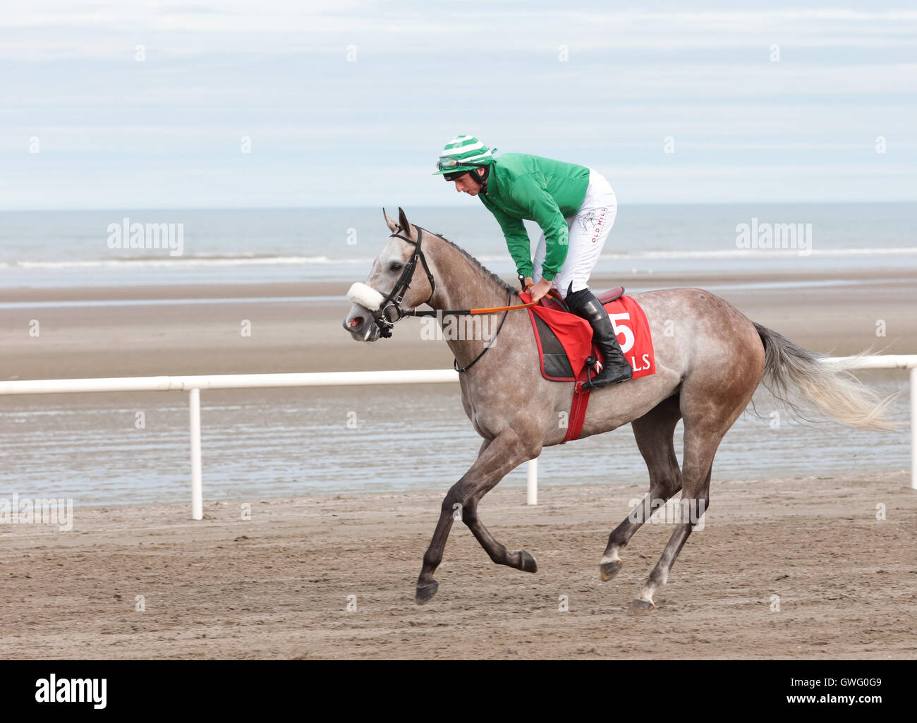 Laytown, Co. Meath, Ireland. 13th Sep, 2016. Meath, Ireland. Laytown ...