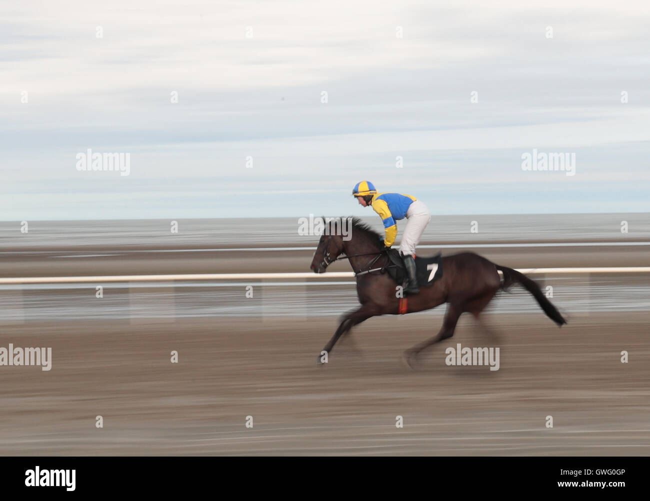 Laytown, Co. Meath, Ireland. 13th Sep, 2016. Meath, Ireland. Laytown ...