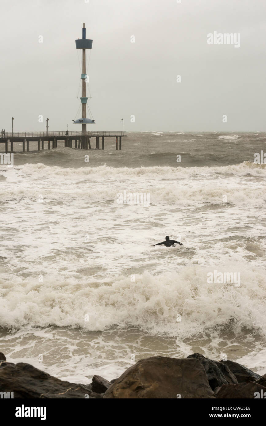 Brighton, Adelaide, South Australia. 14th Sep, 2016. A surfer risks his life near rocks as turbulent seas whipped up by a powerful storm pound the South Australia coast. Credit:  Raymond Warren/Alamy Live News Stock Photo