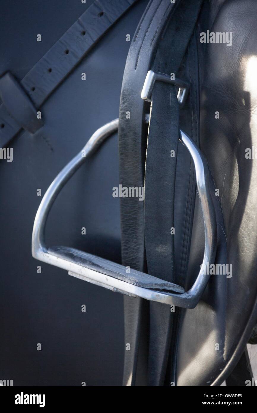 Stainless steel stirrup Stock Photo