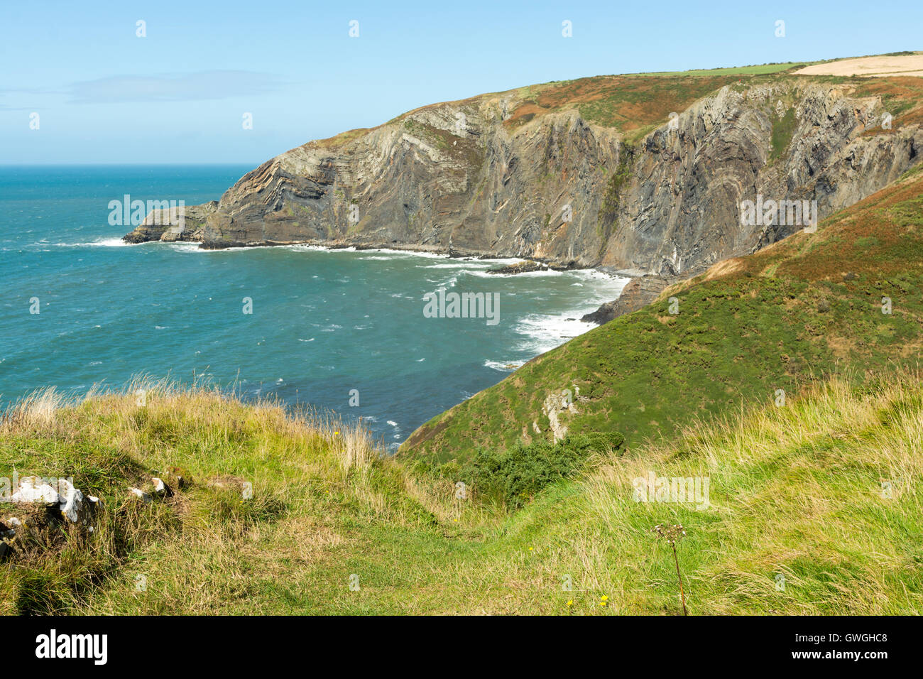 A section of the North Pembrokeshire Coastal Path near Poppit Sands, South West Wales, UK. Stock Photo