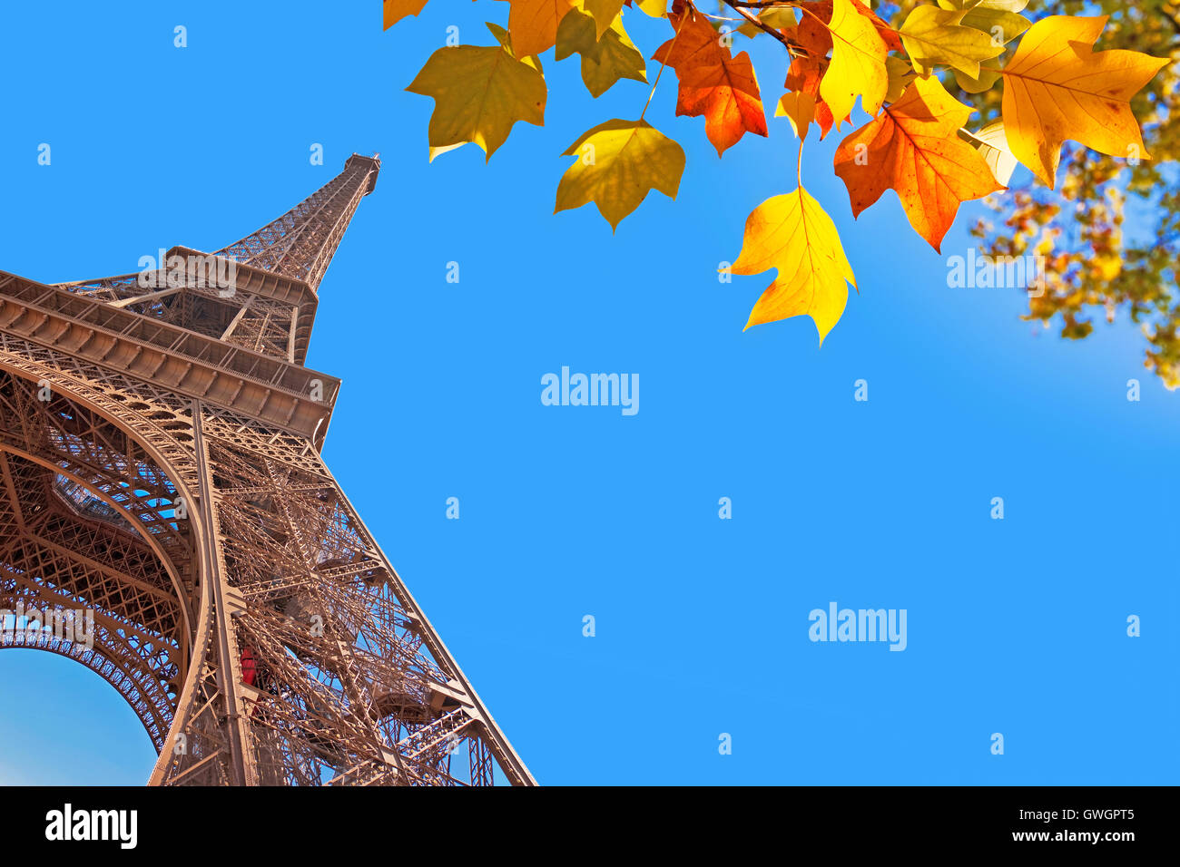 Eiffel tower and autumnal leaves, Paris, France Stock Photo