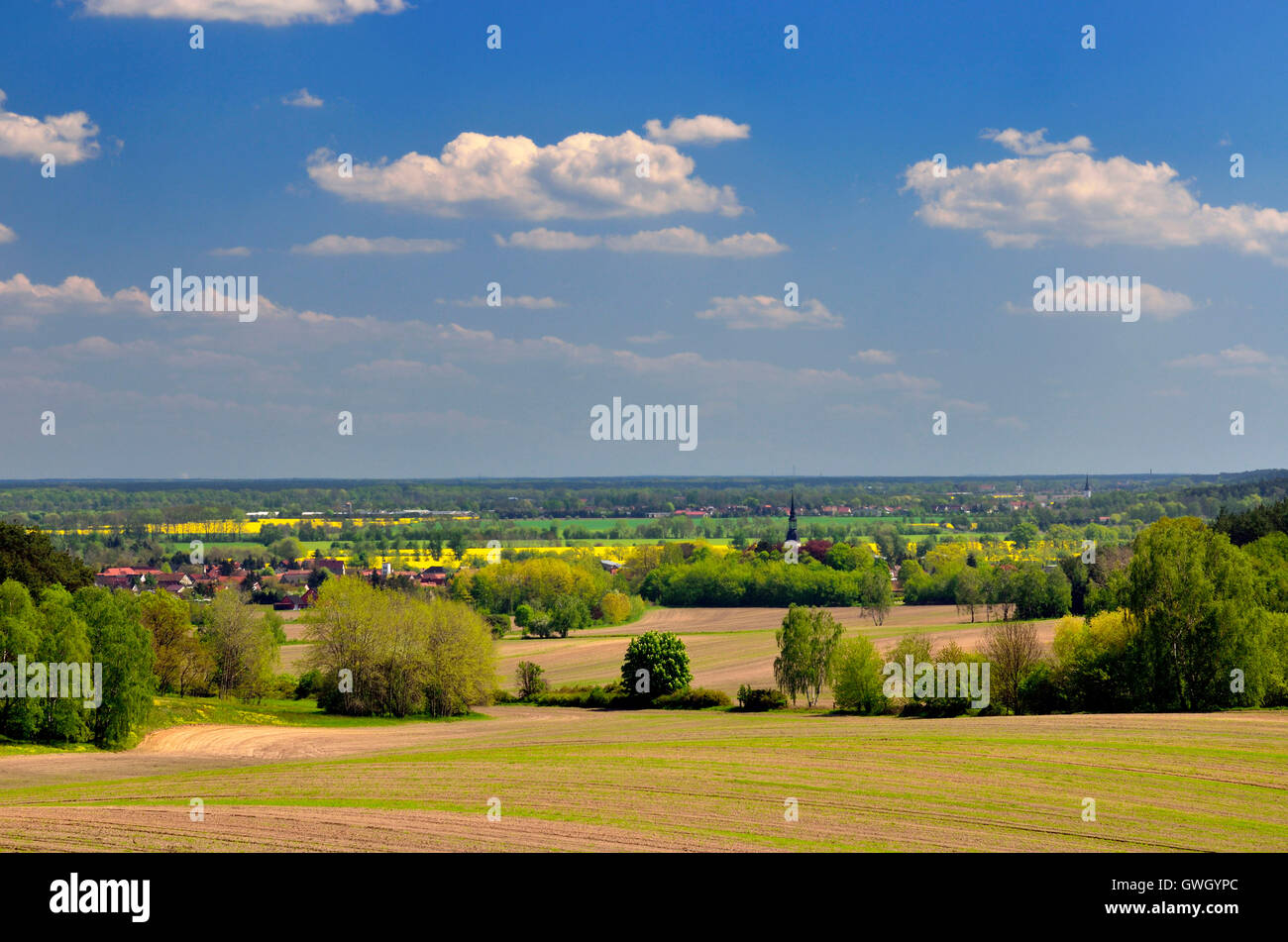 Niederlausitz, Landschaft Der Schraden in der Niederlausitz Stock Photo