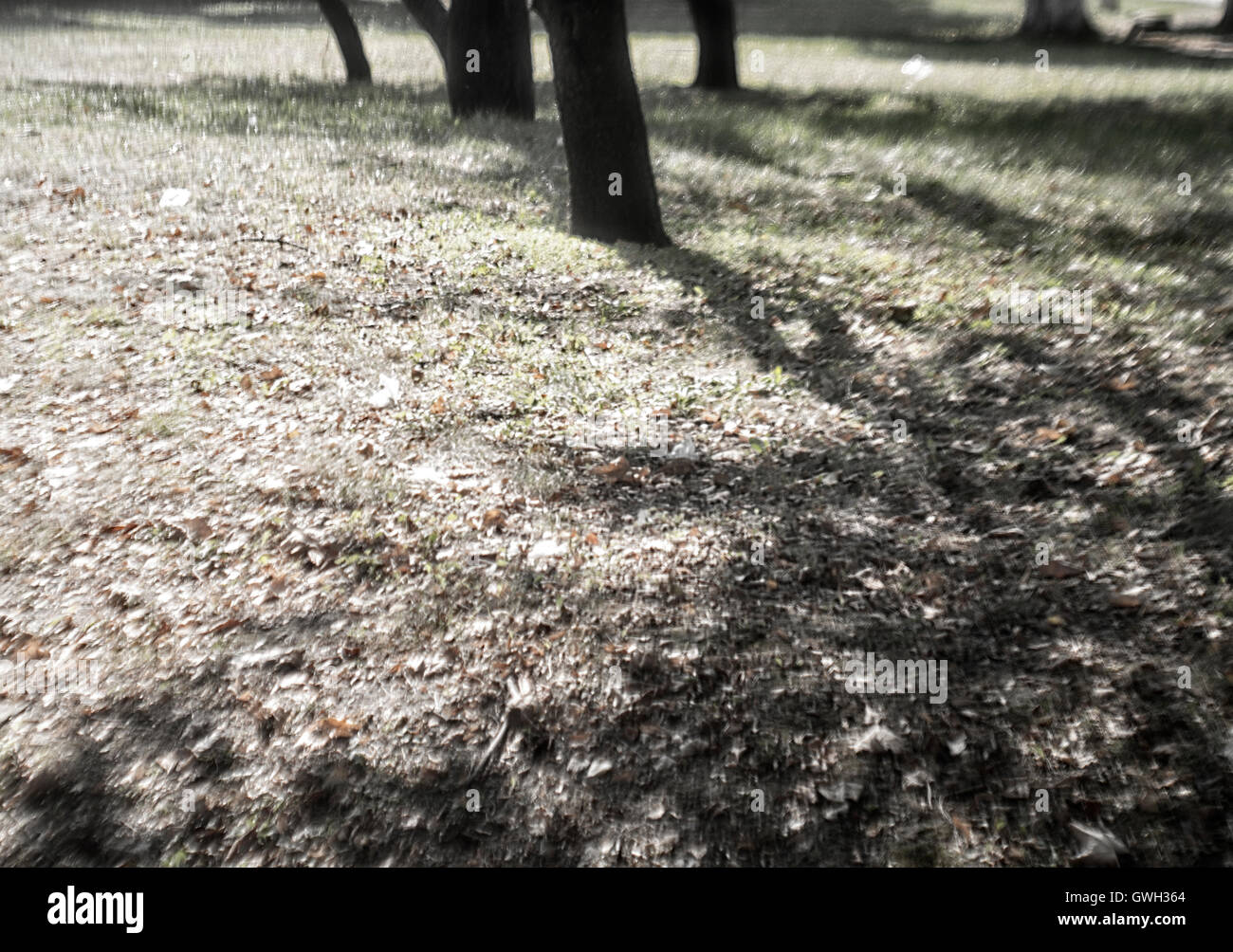 Autumn pictorial landscape. Classic stile photo Stock Photo