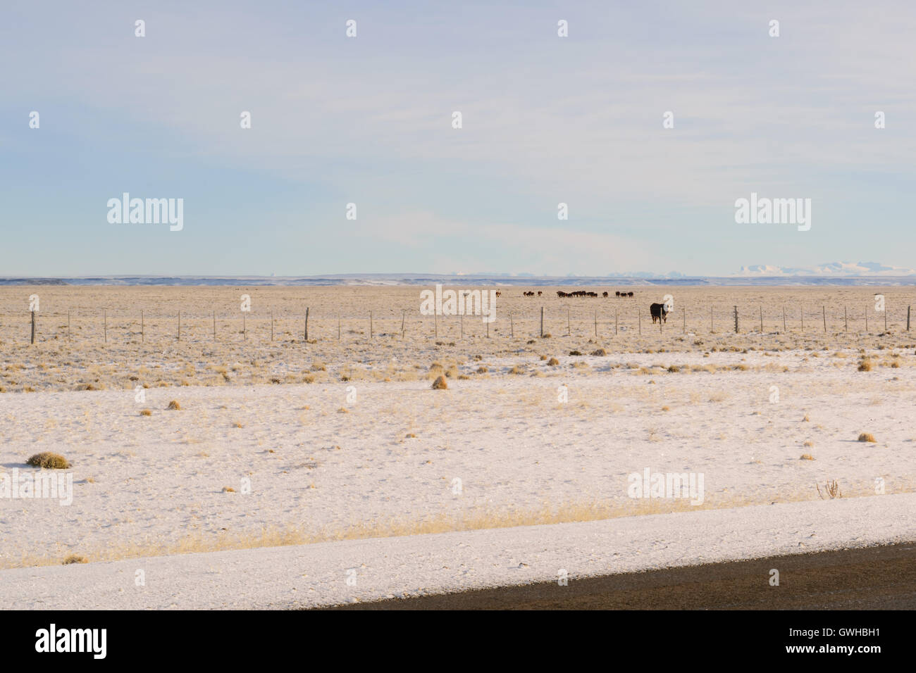 View highway in to winter Stock Photo