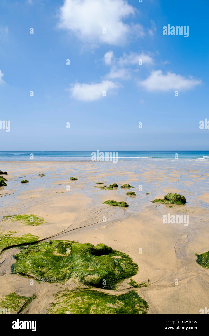 Sandy Cornwall beach UK at Polurrian near Mullion, Cornwall, England, UK Stock Photo