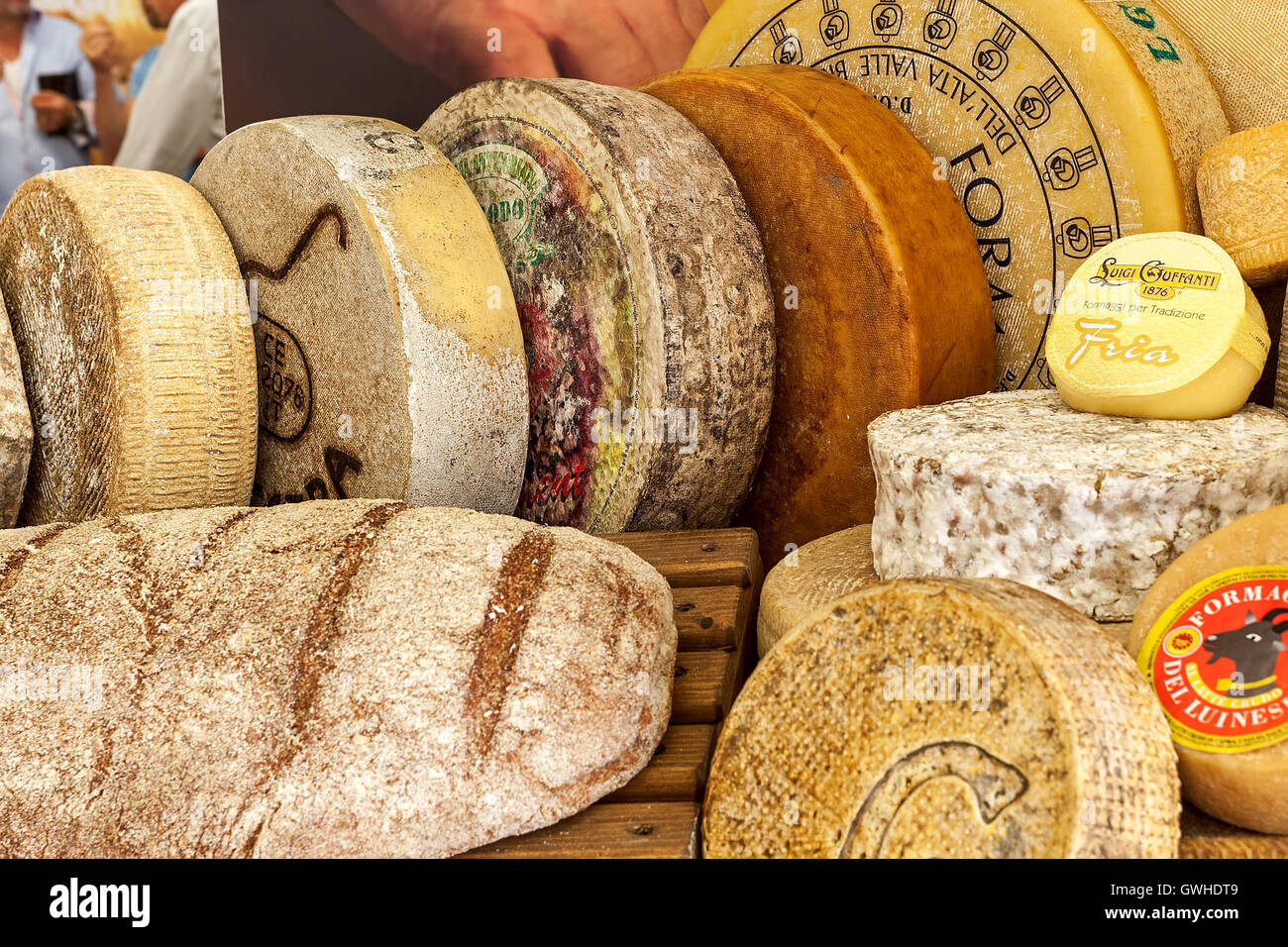 Different types of italian hard cheese. Stock Photo
