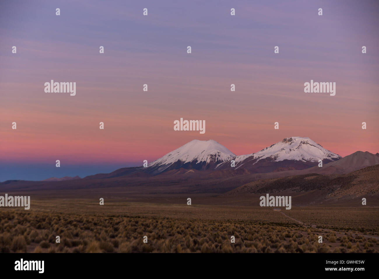 Sunset in Andes. Parinacota and Pomerade volcanos. High Andean landscape in the Andes. High Andean tundra landscape in the mount Stock Photo