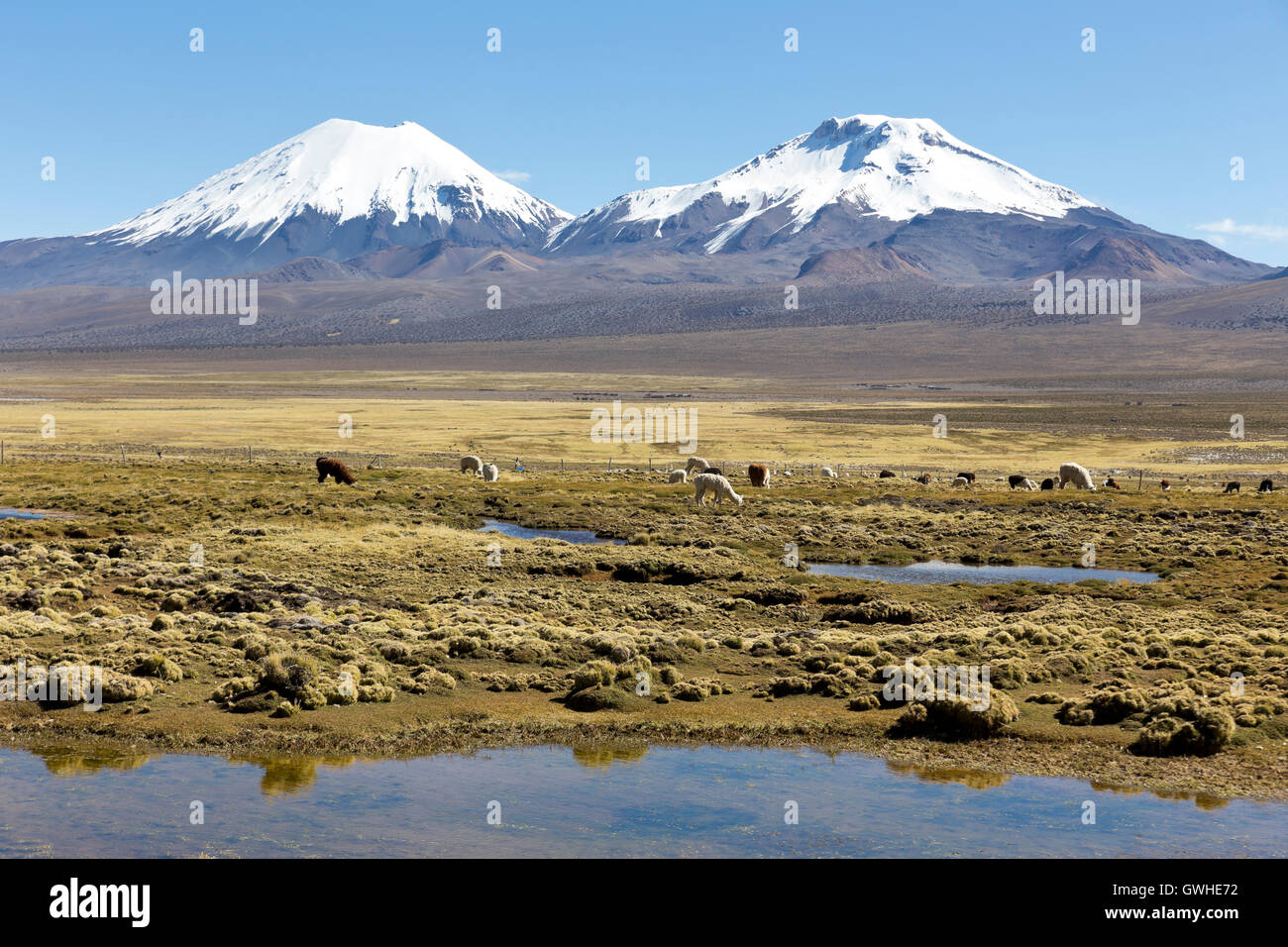 landscape of the Andes Mountains, with snow-covered volcano in the ...