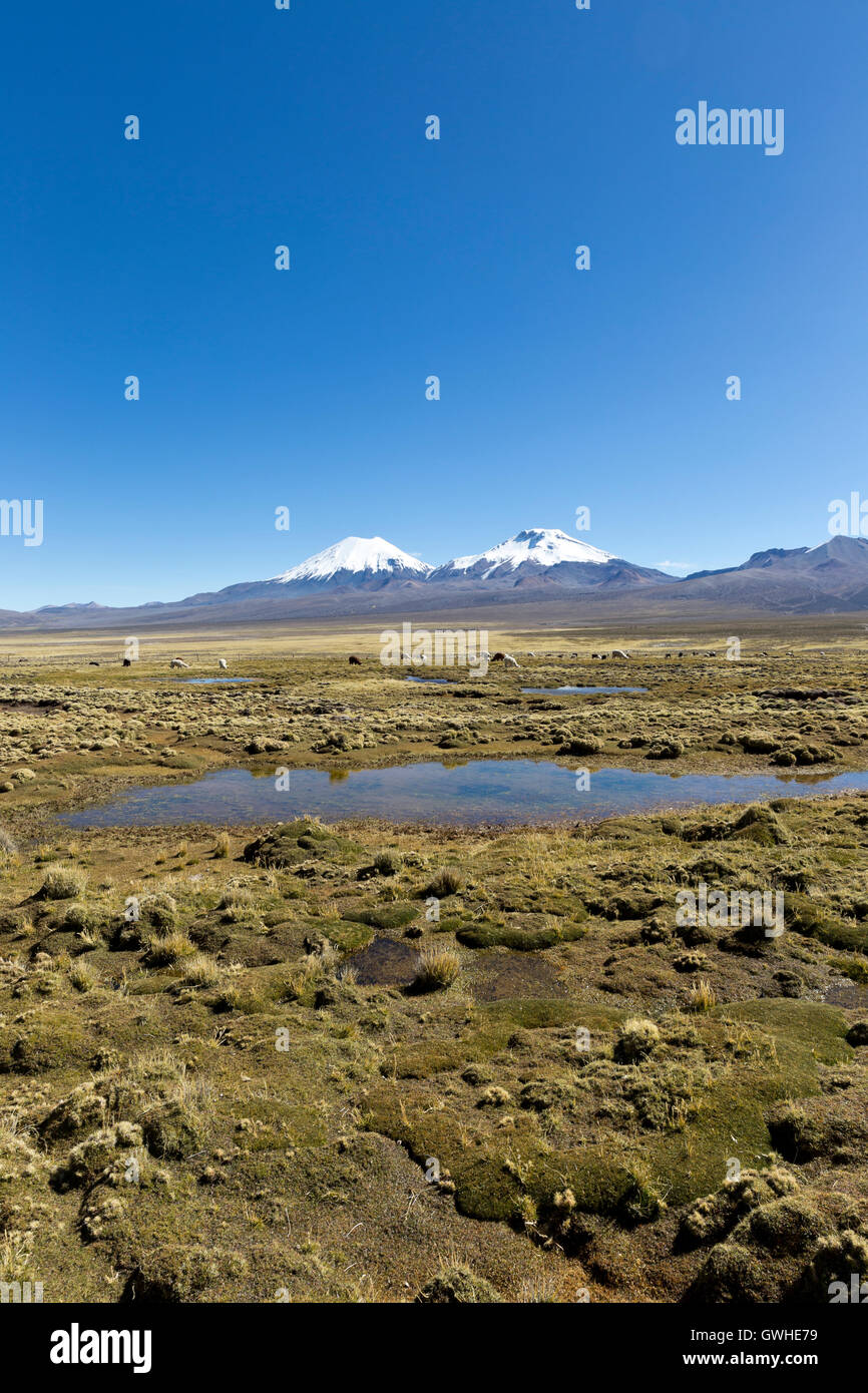 landscape of the Andes Mountains, with snow-covered volcano in the ...