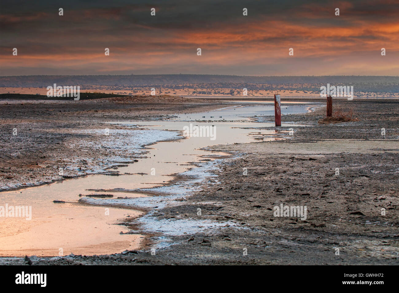 Landscape of water  trailing to Lake Magadi, Morning. Stock Photo