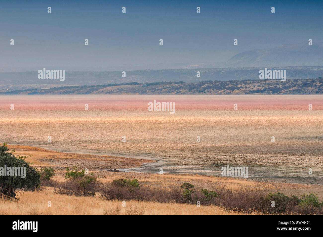 Landscape of dry soda mineral lake. Magadi, Kenya. Africa. Stock Photo