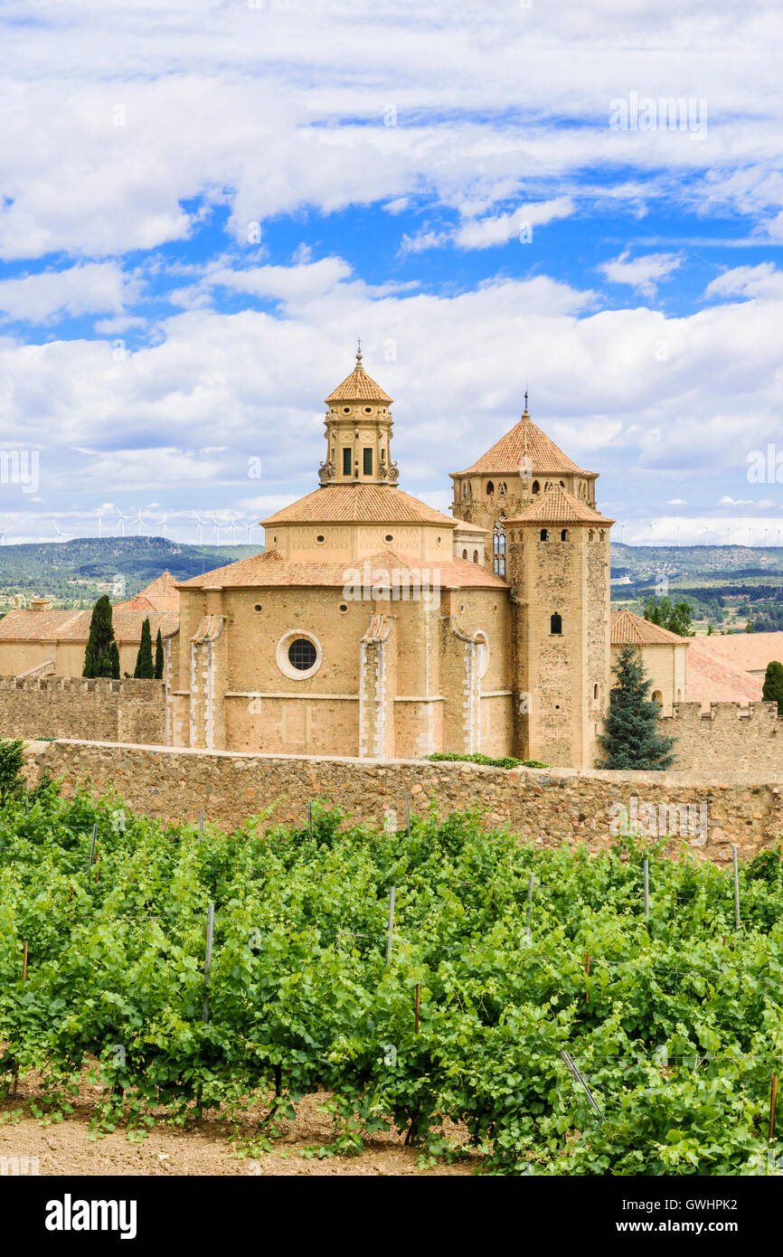Grapevines and the Royal Abbey of Santa Maria de Poblet, Vimbodí i Poblet, Catalonia, Spain Stock Photo