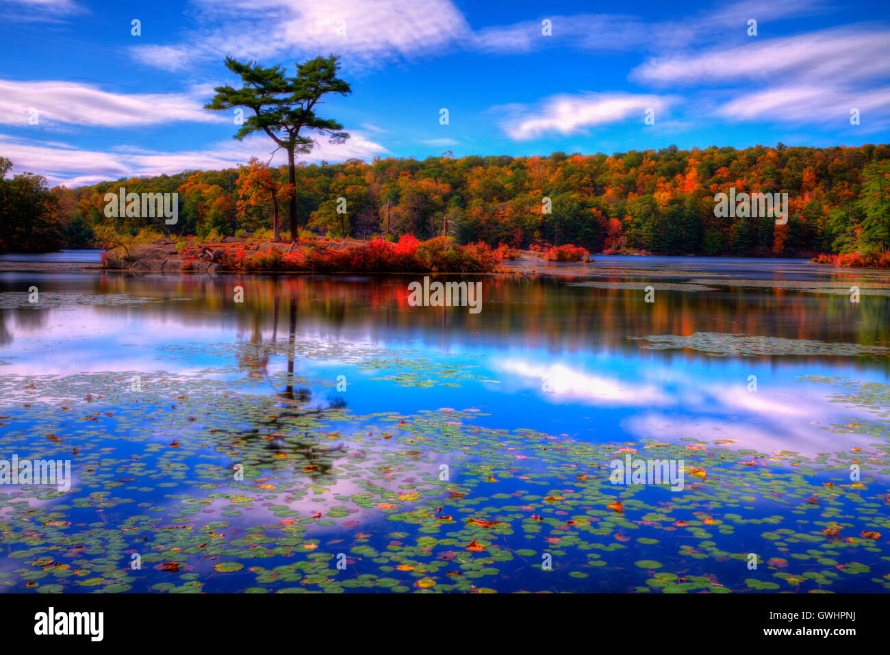 Fall landscape with the forest lake Stock Photo - Alamy