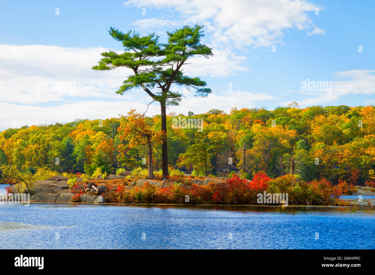 Fall landscape with the forest lake Stock Photo - Alamy